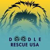 Doodle Rescue USA
